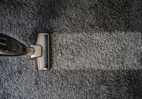 Carpet Cleaning Services in Wesley Chapel