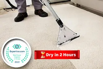 same day carpet cleaning service near me