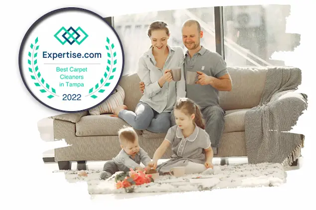 carpet cleaning in tampa fl
