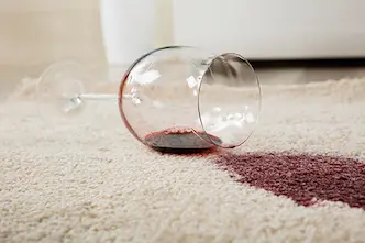 carpet stain removal service