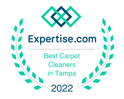 Top Carpet Cleaner in Tampa